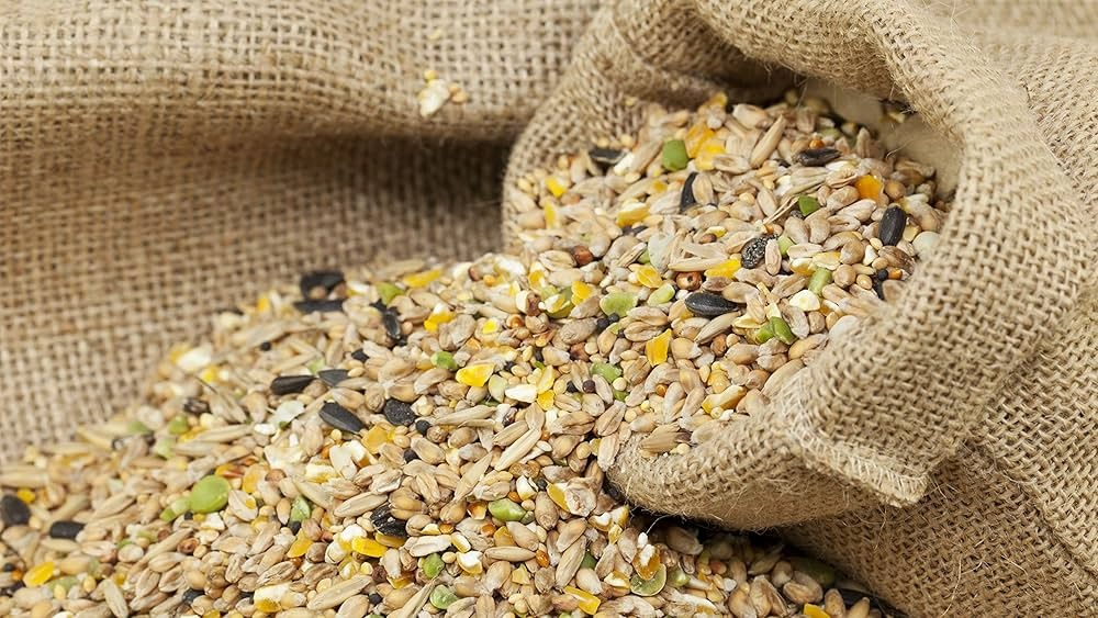 Bird Feeds
